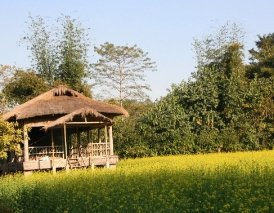 Explore Culture & Culinary Delights of Sindhdurgh